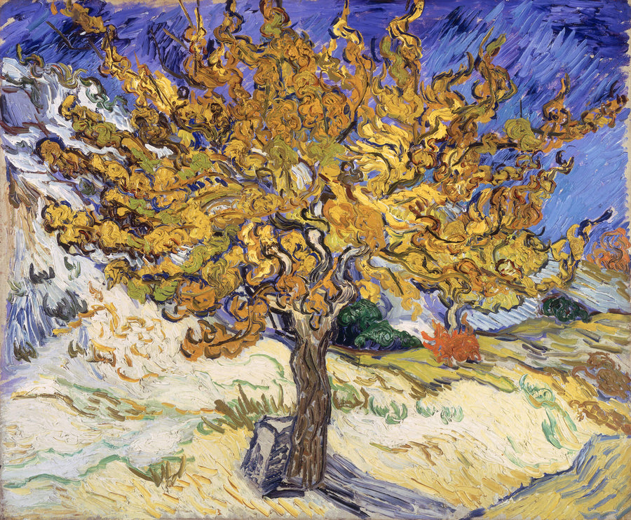 Le Mûrier - Vincent Van Gogh