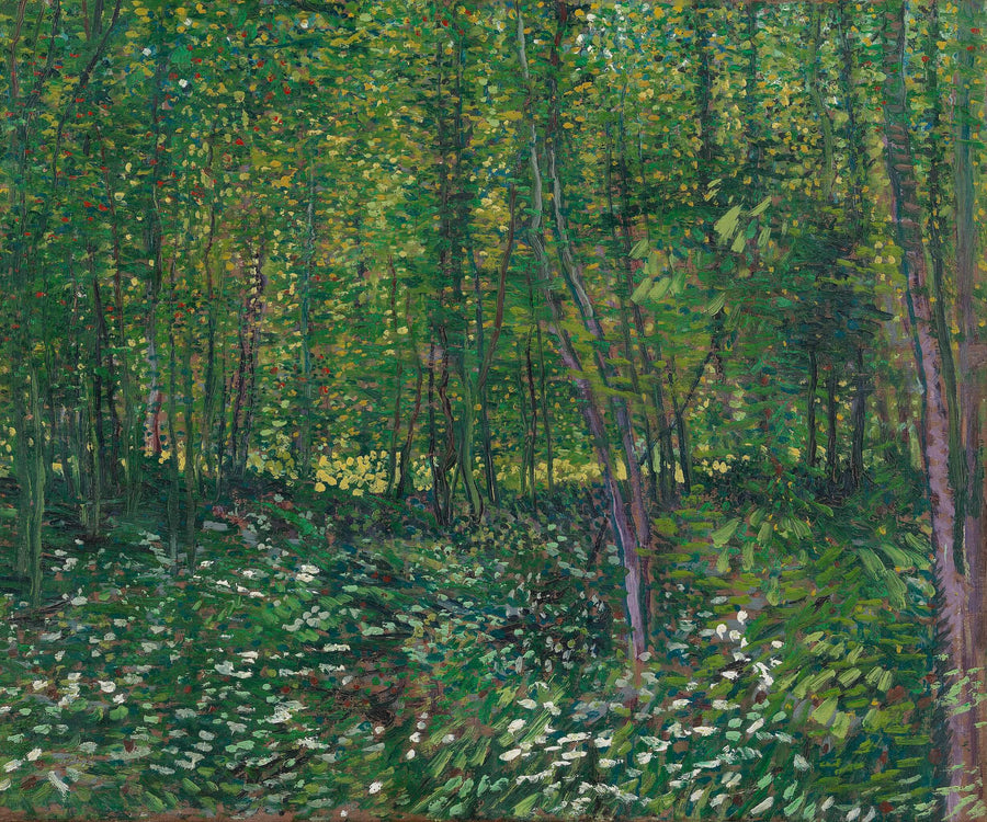Arbres et sous-bois - Vincent Van Gogh