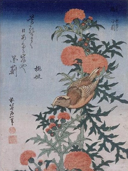 Crossbill and thistle - Hokusai