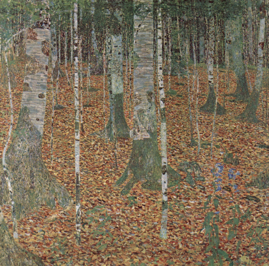 Le bois de bouleaux - Gustav Klimt