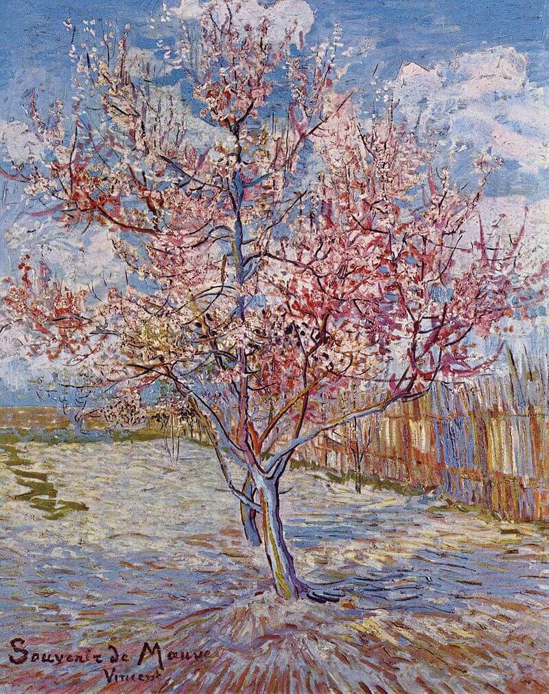 Pink peach tree - Vincent Van Gogh