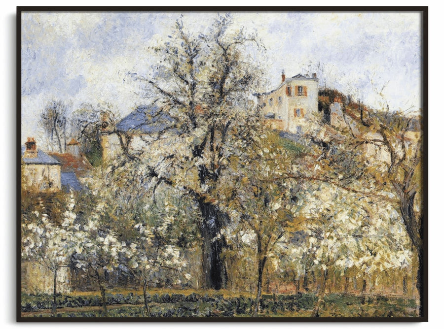 Frühling. Blühende Pflaumenbäume – Camille Pissarro