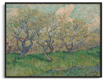 Orchard in bloom - Vincent Van Gogh