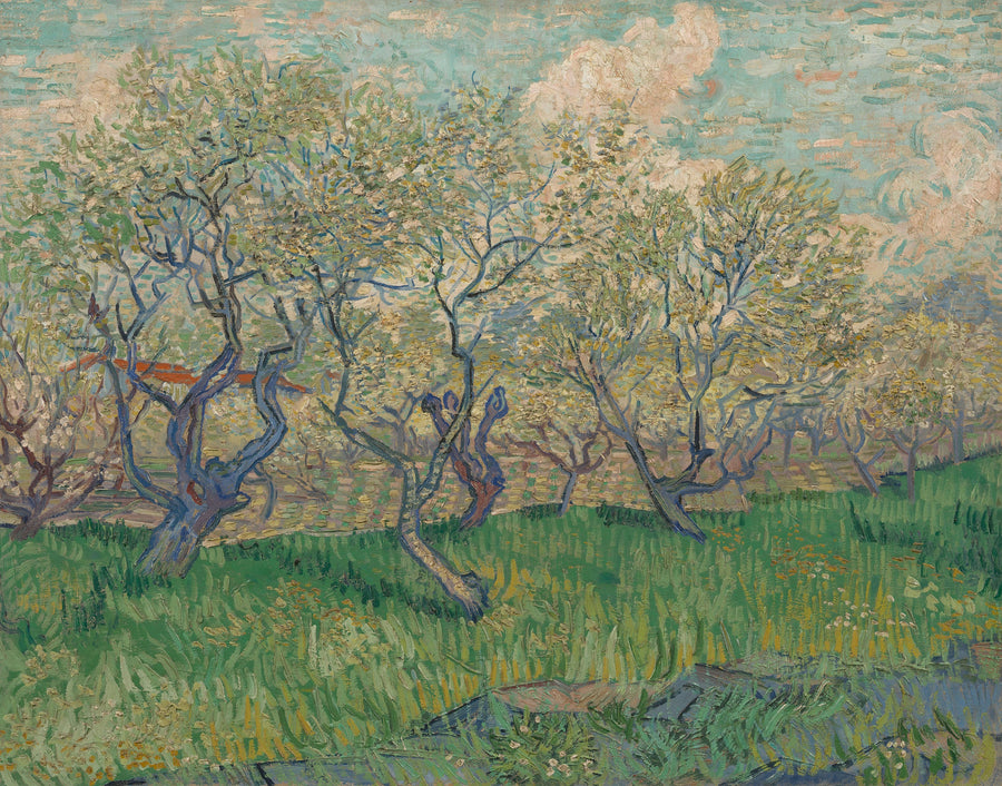 Orchard in bloom - Vincent Van Gogh
