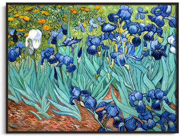 Irises - Vincent Van Gogh