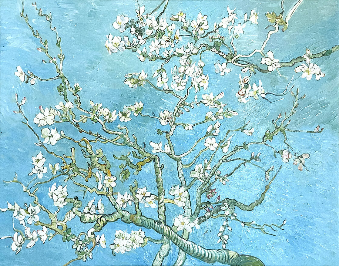 Amandier en Fleurs de Vincent Van Gogh