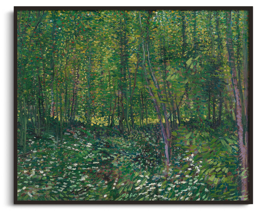 Trees and undergrowth - Vincent Van Gogh