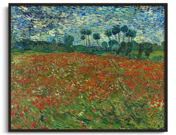 Fields of poppies - Vincent Van Gogh