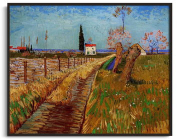 Path through a field of willows - Vincent Van Gogh