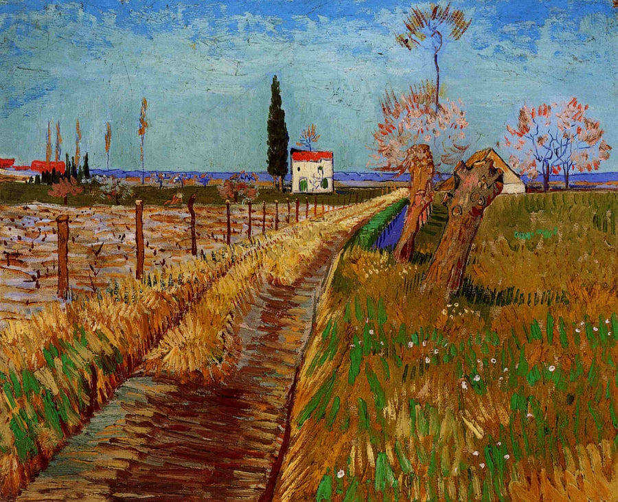 Path through a field of willows - Vincent Van Gogh