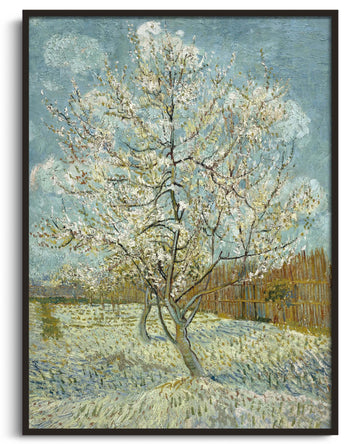 Pêcher en fleurs - Vincent Van Gogh
