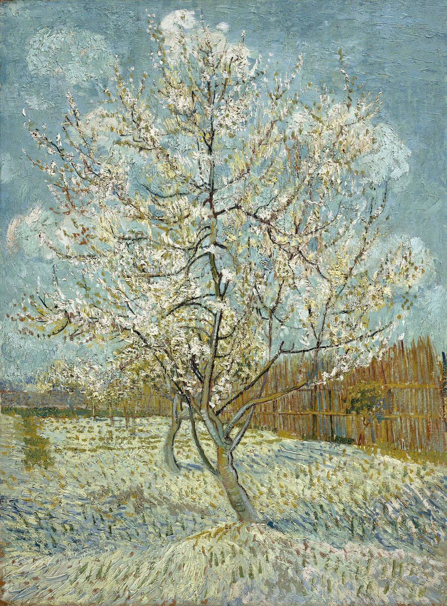 Pêcher en fleurs - Vincent Van Gogh